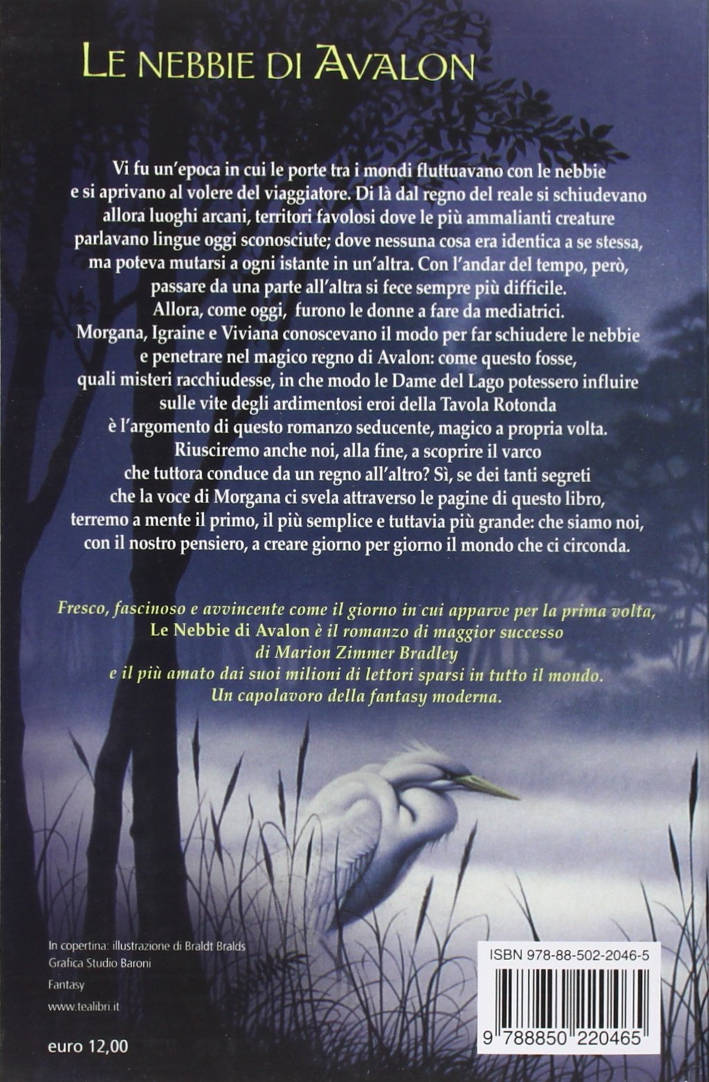 Le nebbie di Avalon Le nebbie di Avalon