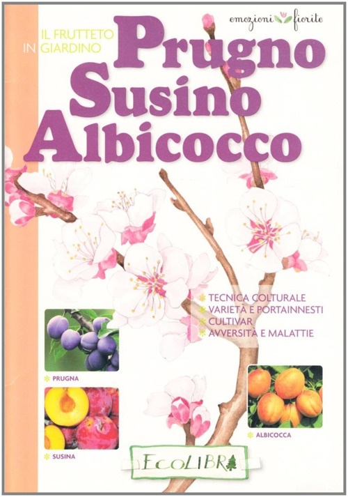 Frutteto in giardino. Prugno, susino, albicocco Frutteto in giardino. Prugno, susino, albicocco