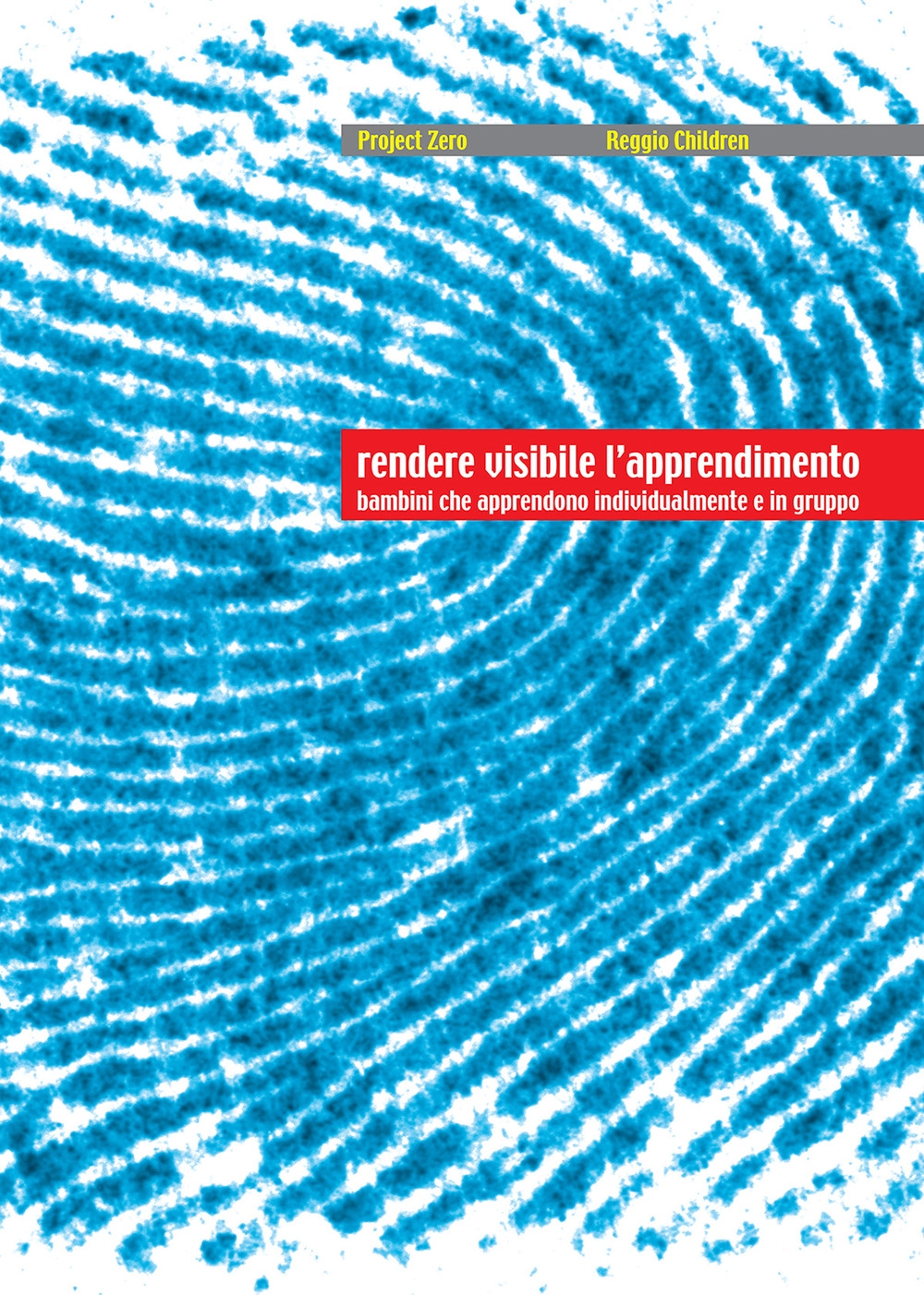 Rendere visibile l'apprendimento Rendere visibile l'apprendimento