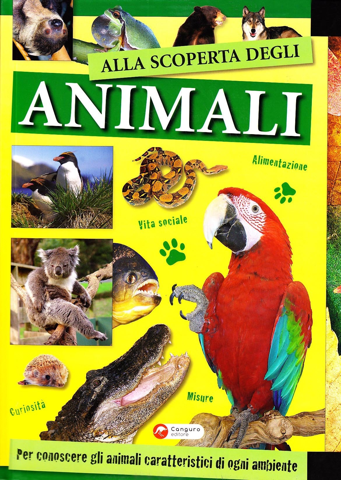 Alla scoperta degli animali Alla scoperta degli animali