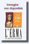 La croce dipinta italiana e l'iconografia della Passione