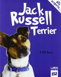 Jack Russell Terrier