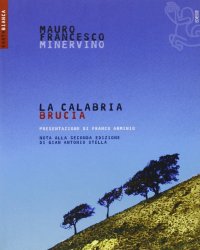 La Calabria brucia