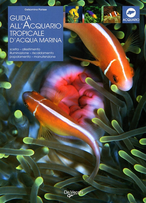 Acquario Tropicale d'Acqua Marina Acquario Tropicale d'Acqua Marina