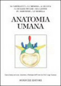 Anatomia umana Anatomia umana