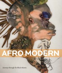 Afro Modernism Journeys Through the Blac