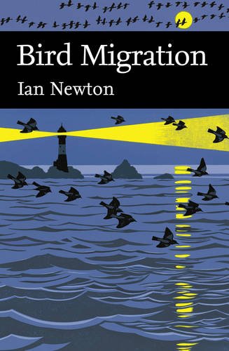 Bird Migration Bird Migration