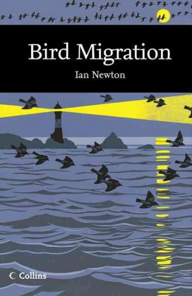 Bird Migration Bird Migration