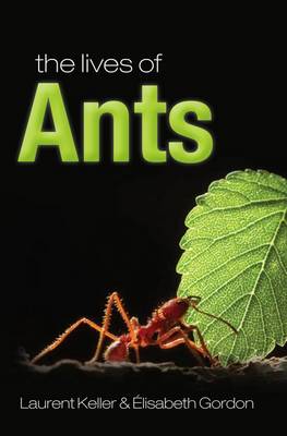 Lives of Ants Lives of Ants