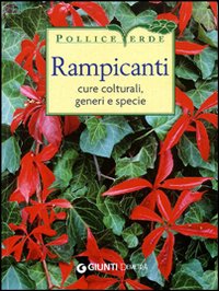 Rampicanti. Cure colturali, generi e specie Rampicanti. Cure colturali, generi e specie
