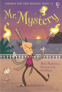Mr Mystery