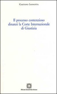 Il processo contenzioso dinanzi la Corte internazionale di giustizia Il processo contenzioso dinanzi la Corte internazionale di giustizia