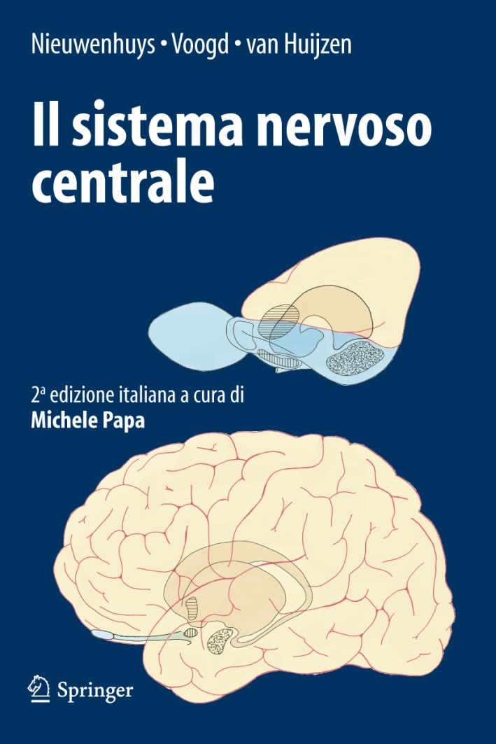 Il sistema nervoso centrale Il sistema nervoso centrale