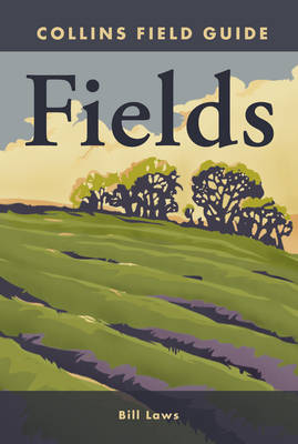 Fields Fields