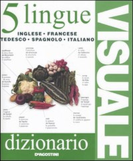 Dizionario visuale in 5 lingue. Inglese, francese, tedesco, spagnolo, italiano. Ediz. illustrata Dizionario visuale in 5 lingue. Inglese, francese, tedesco, spagnolo, italiano. Ediz. illustrata
