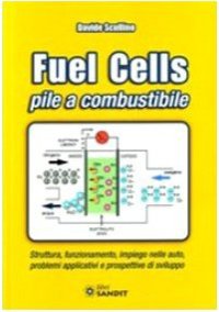 Fuel cells. Pile a combustibile. Struttura, funzionamento, impiego nelle auto, problemi e prospettive di sviluppo