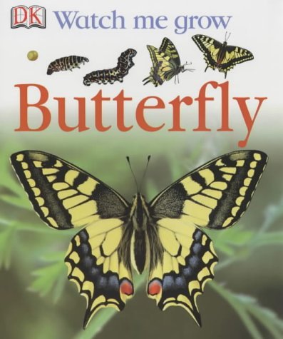 Butterfly Butterfly