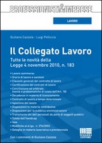 Il collegato lavoro Il collegato lavoro