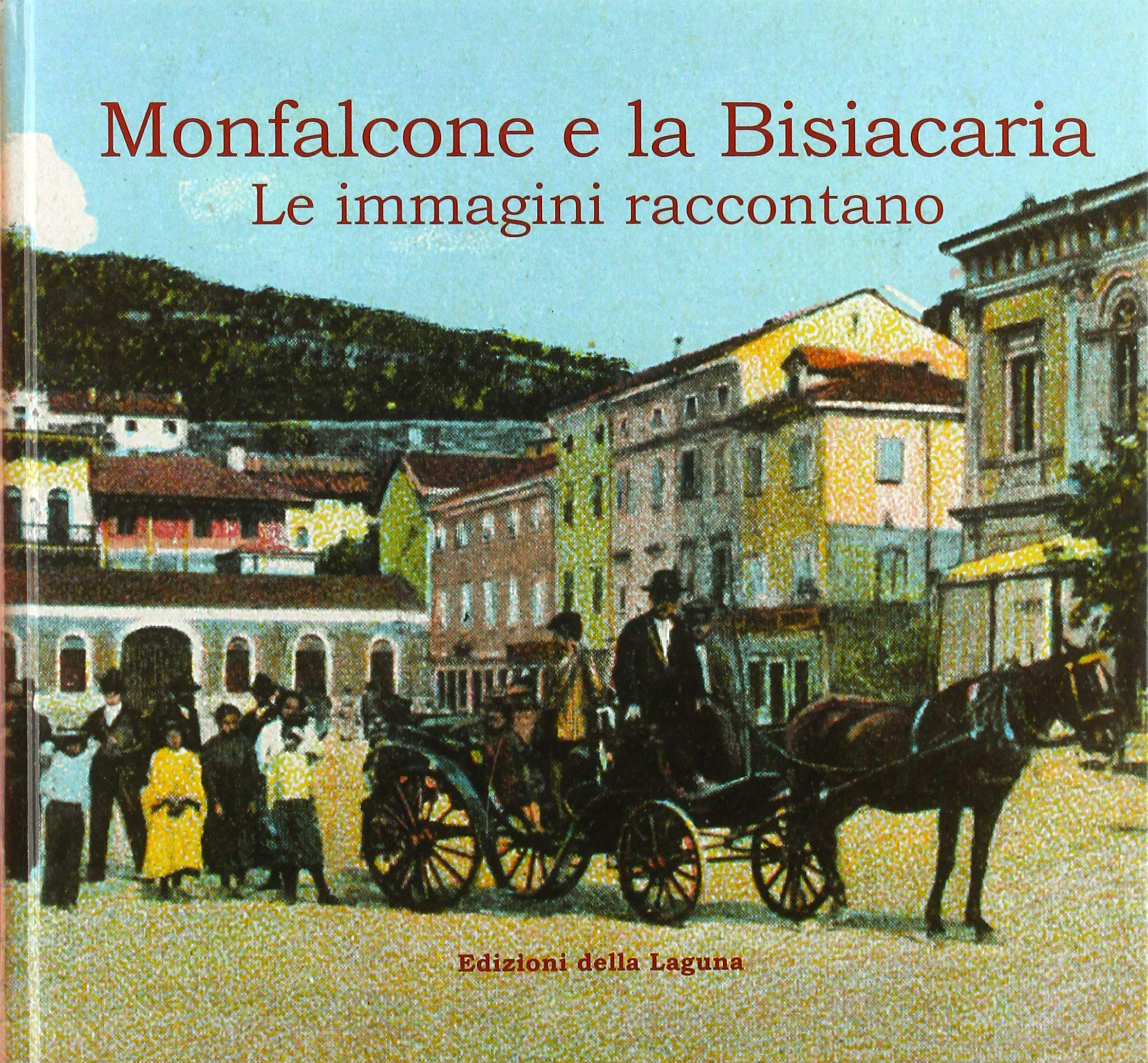Monfalcone e la Bisiacaria. Le immagini raccontano. Monfalcone e la Bisiacaria. Le immagini raccontano.