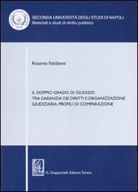 Il doppio grado di giudizio tra garanzia dei diritti e organizzazione giudiziaria. Profili di comparazione Il doppio grado di giudizio tra garanzia dei diritti e organizzazione giudiziaria. Profili di comparazione
