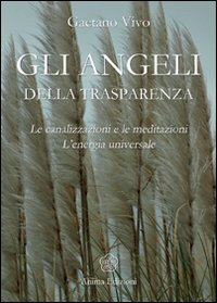 Angeli della trasparenza. Le canalizzazioni e le meditazioni. L'energia universale Angeli della trasparenza. Le canalizzazioni e le meditazioni. L'energia universale