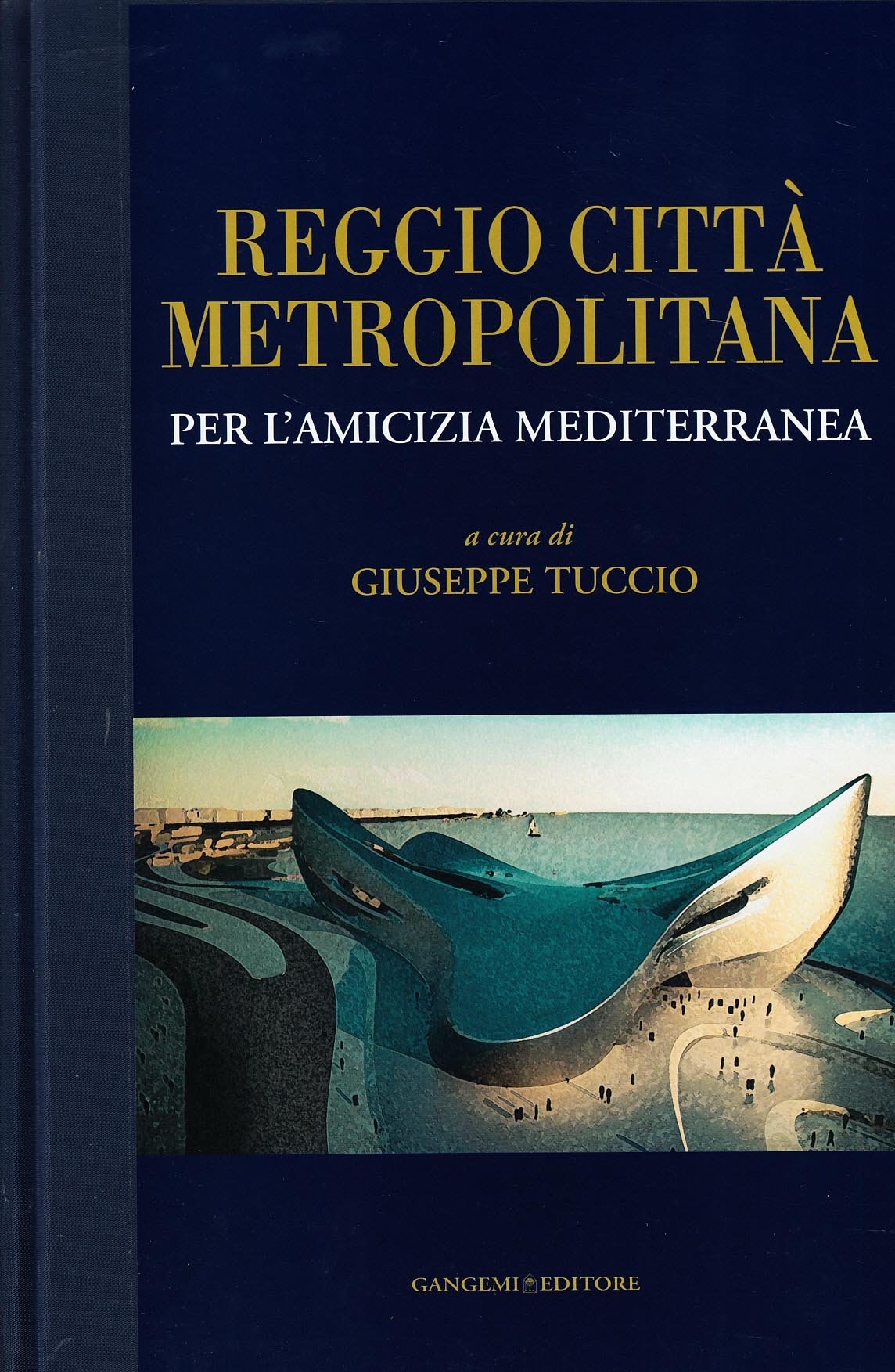 Reggio città metropolitana per l'amicizia mediterranea