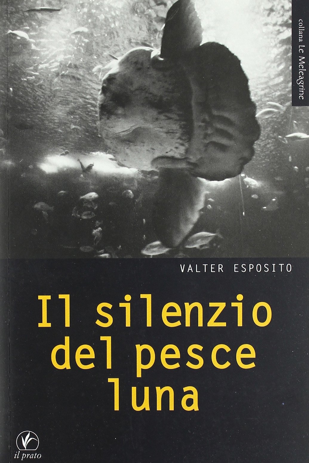 Il Silenzio del Pesce Luna Il Silenzio del Pesce Luna