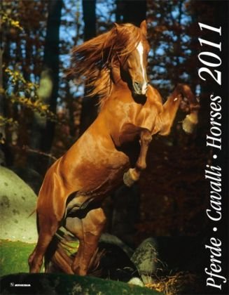 Pferde. Cavalli. Horses. 2011 Pferde. Cavalli. Horses. 2011