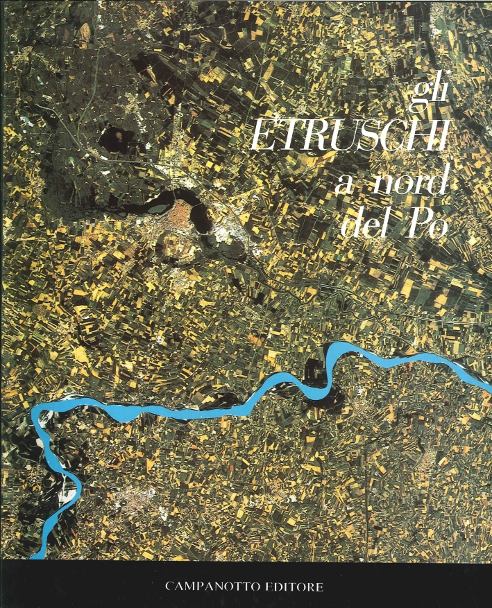 Gli etruschi al nord del Po. Vol. 1 Gli etruschi al nord del Po. Vol. 1