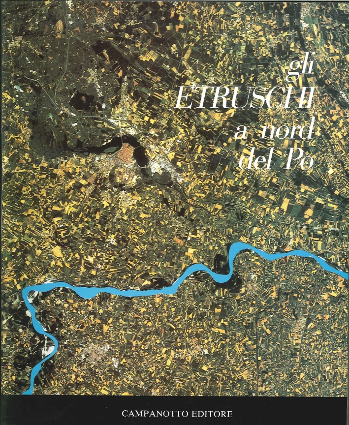 Gli etruschi al nord del Po. Vol. 2 Gli etruschi al nord del Po. Vol. 2