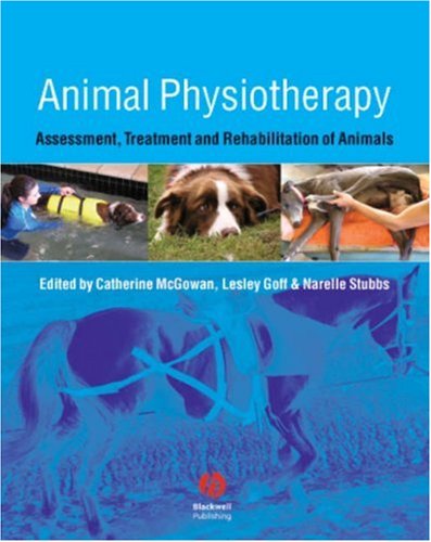 Animal Physiotherapy Animal Physiotherapy
