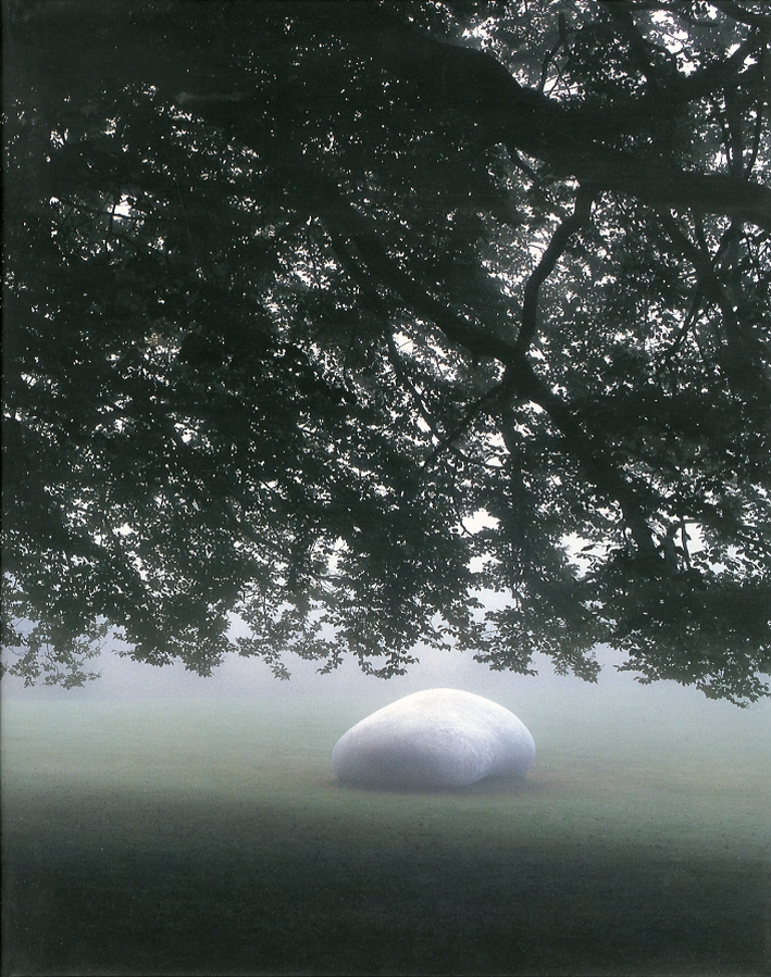 The sculpture of Kan Yasuda in Yorkshire.vol I The sculpture of Kan Yasuda Vol II. [Edizione italiana, inglese e giapponese]
