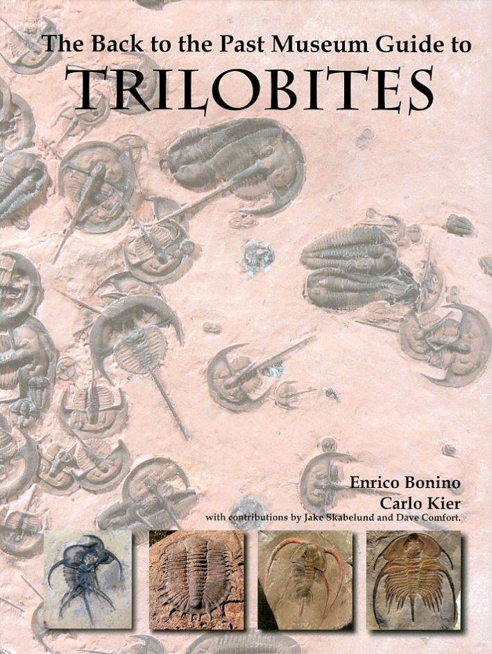 The Back to the past Museum Guide to Trilobites The Back to the past Museum Guide to Trilobites