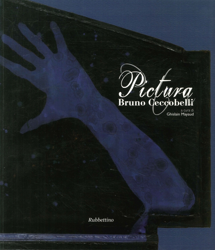 Pictura. Bruno Ceccobelli Pictura. Bruno Ceccobelli