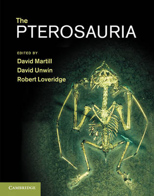 Pterosauria Pterosauria