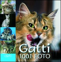 I gatti. Ediz. illustrata I gatti. Ediz. illustrata