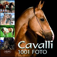 Cavalli. Ediz. illustrata Cavalli. Ediz. illustrata