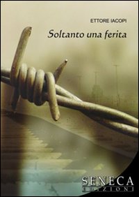 Soltanto una ferita Soltanto una ferita