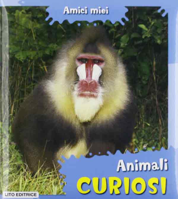 Animali, cuccioli in pericolo, curiosi. Amici miei Animali, cuccioli in pericolo, curiosi. Amici miei