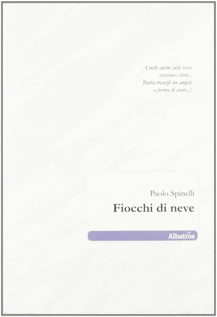 Fiocchi di neve Fiocchi di neve