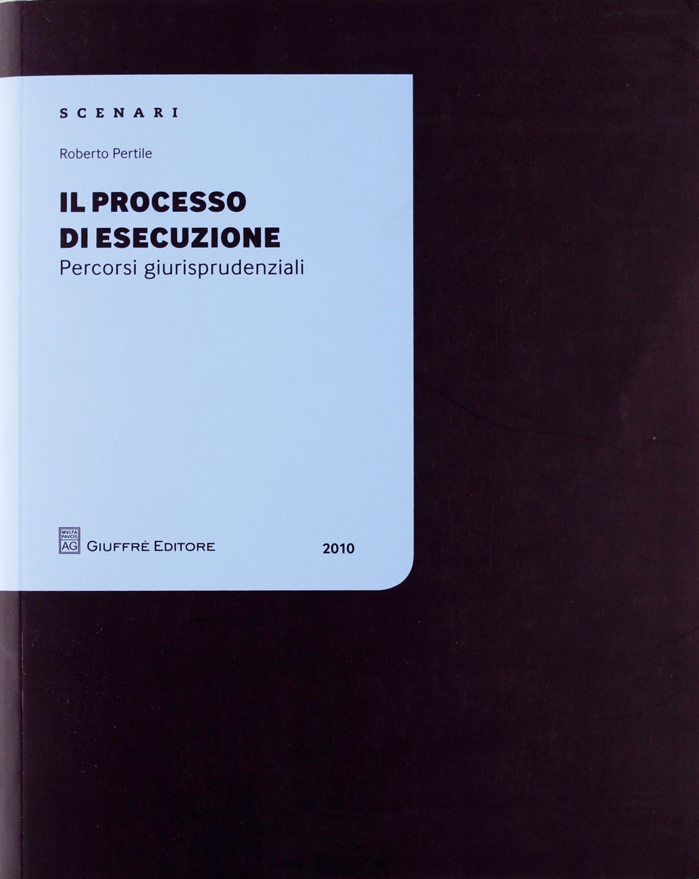 Il processo di esecuzione. Percorsi giurisprudenziali Il processo di esecuzione. Percorsi giurisprudenziali