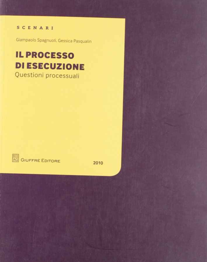 Il processo di esecuzione. Questioni processuali Il processo di esecuzione. Questioni processuali