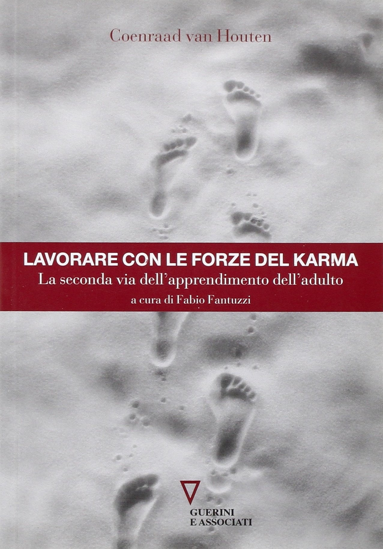 Lavorare con le forze del karma. La seconda via dell'apprendimento dell'adulto Lavorare con le forze del karma. La seconda via dell'apprendimento dell'adulto