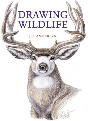 Drawing Wildlife Drawing Wildlife