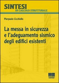 La messa in sicurezza e l'adeguamento sismico degli edifici esistenti La messa in sicurezza e l'adeguamento sismico degli edifici esistenti