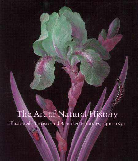 The art of natural history. Illustrated treatises and botanical paintings, 1400-1850