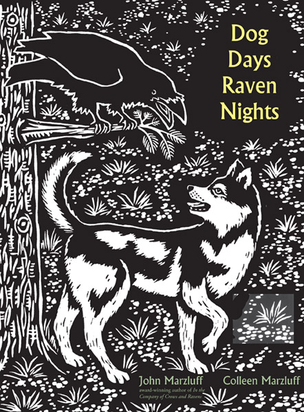 Dog Days, Raven Nights Dog Days, Raven Nights