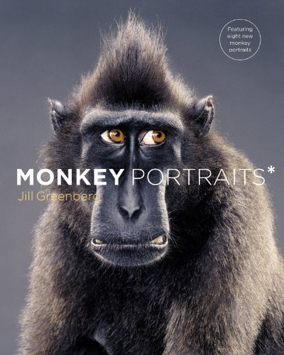 Monkey Portraits Monkey Portraits