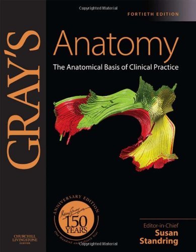 Gray's Anatomy Gray's Anatomy