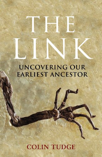 Link Link